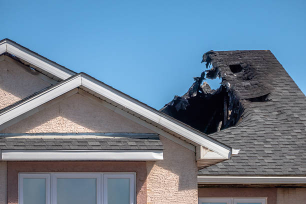 Top rated local Fire Damage Removal specialists in Springfield, MN