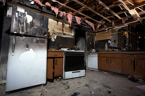 Licensed Fire Damage Removal service in Springfield, MN - Fire Damage Laser Cleaning